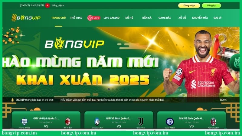 Bongvip Mango - Link Nhà Cái Bóng Đá Online Uy Tín 2025 40 Bongvip là thiên đường giải trí dẫn đầu xu hướng